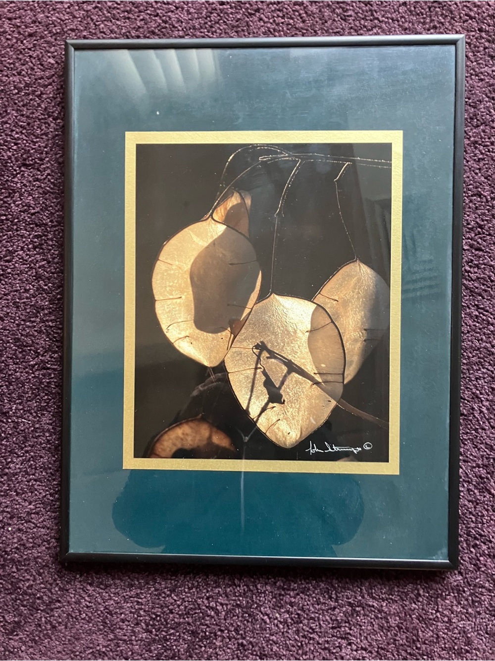 Framed Botanical Art Print in Teal and Gold